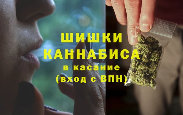 гидра Абаза