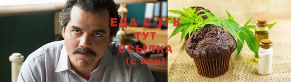 гидра Абаза