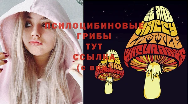 твердый Абинск