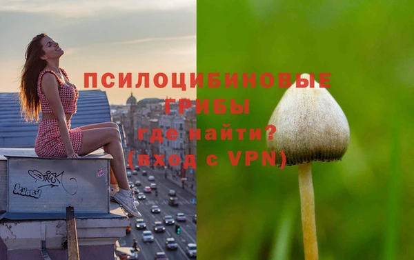 твердый Абинск