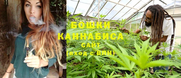 прущие грибы Абдулино