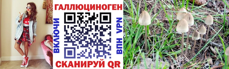 Галлюциногенные грибы Psilocybine cubensis  Югорск 