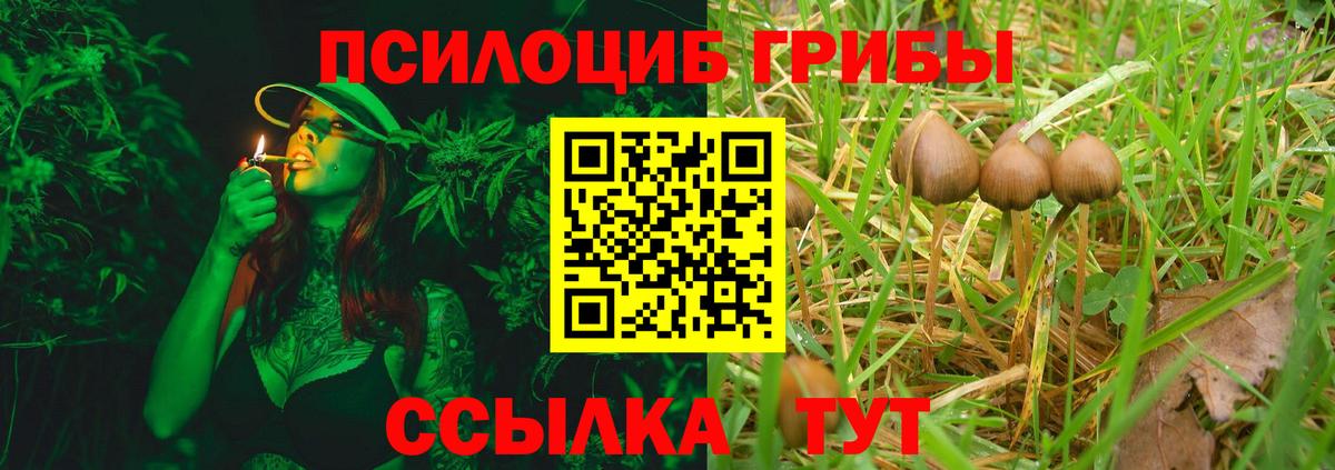 ГАШИШ Югорск